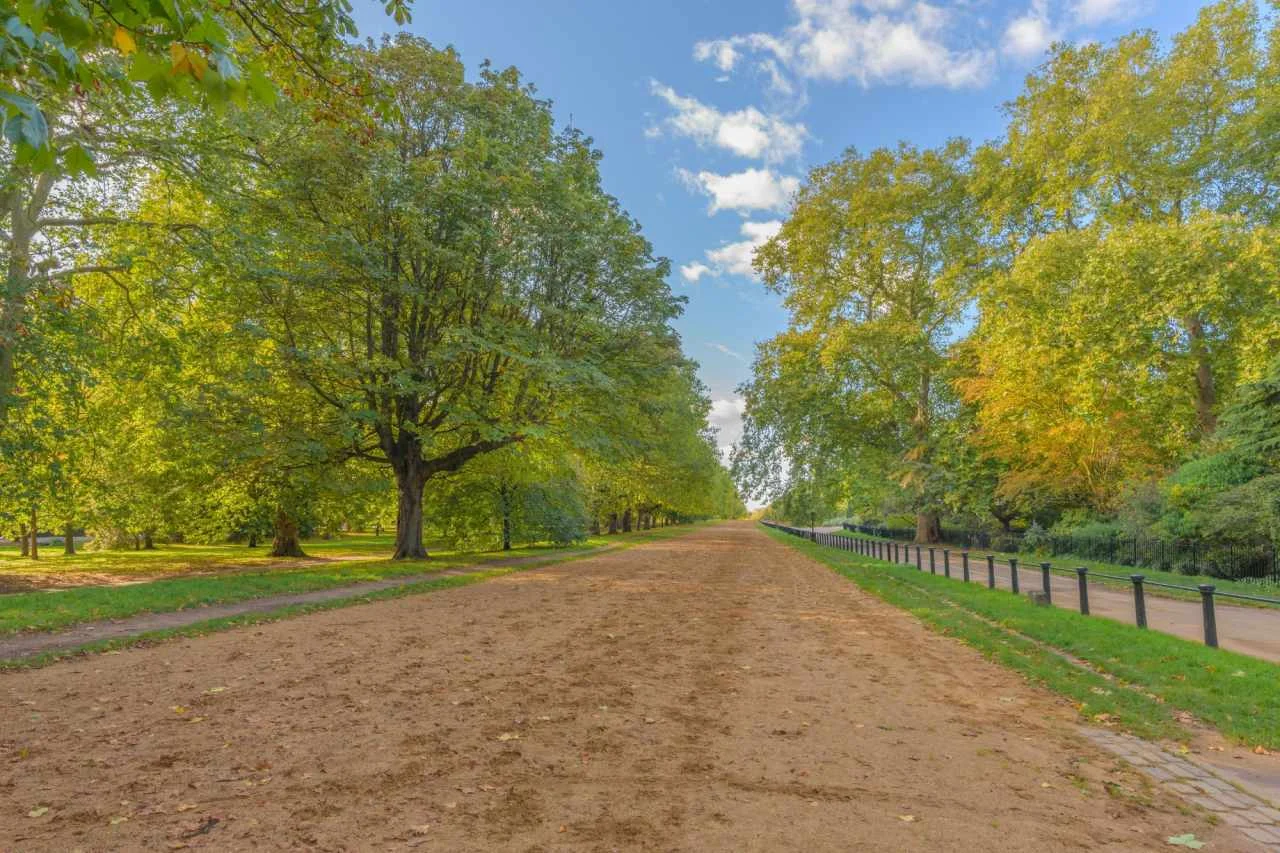 Asylum seeker jailed after r@ping woman in popular London park || Mpforum