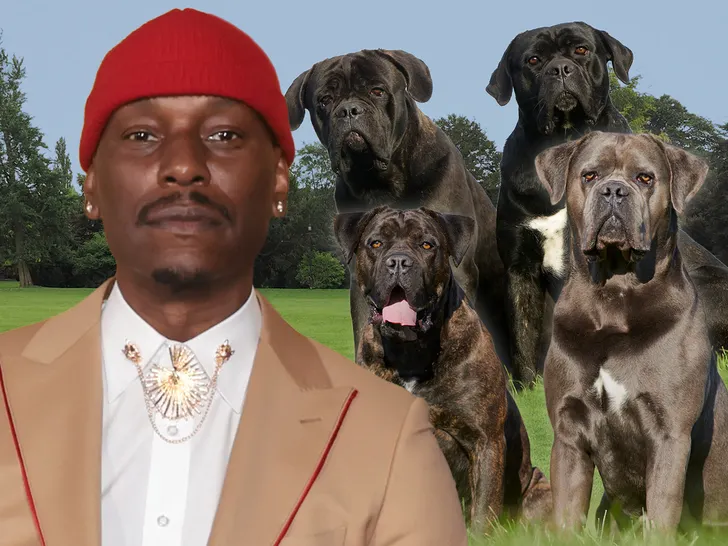 Fast & Furious actor, Tyrese Gibson fails to turn himself in following arrest warrant for cruelty to animals || Mpforum