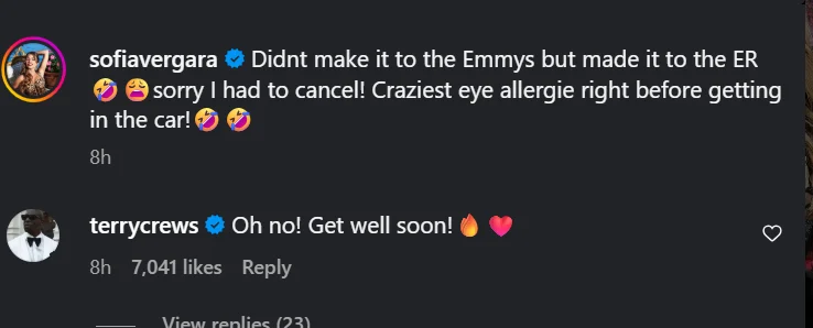Actress Sofia Vergara rushed to hospital with eye condition, misses Emmys appearance || Mpforum