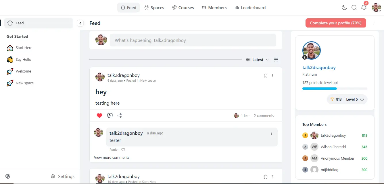 1.00