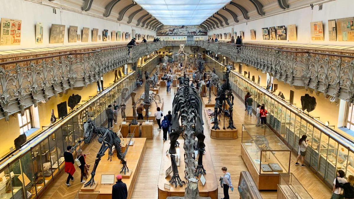 Woman charged after nearly $2 million worth of gold stolen from Paris museum || Mpforum